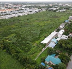 出售地皮-泰国-曼谷-133712-平方米-300-01