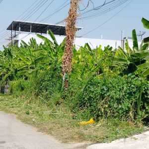 出售地皮-泰国-曼谷-1356-平方米-199.78-01