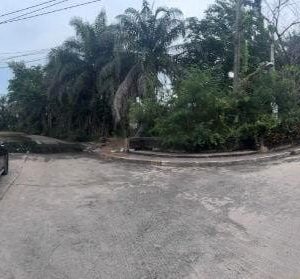 出售地皮-泰国-曼谷-1376-平方米-68.58-01