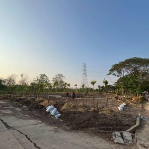 出售地皮-泰国-曼谷-1428-平方米-84.12-01