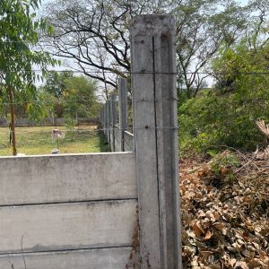 出售地皮-泰国-曼谷-1448-平方米-514.29-01