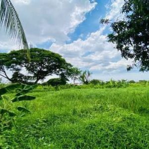 出售地皮-泰国-曼谷-15216-平方米-300-01