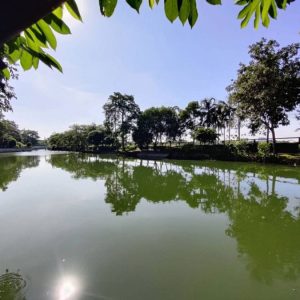 出售地皮-泰国-曼谷-1532-平方米-428.58-01