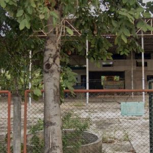 出售地皮-泰国-曼谷-1548-平方米-686.63-01