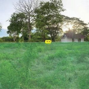 出售地皮-泰国-曼谷-1600-平方米-514.29-01