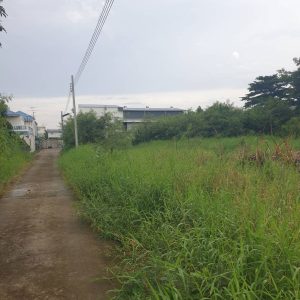 出售地皮-泰国-曼谷-1608-平方米-214.29-01