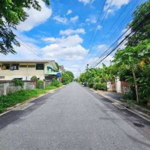 出售地皮-泰国-曼谷-1656-平方米-538.32-01