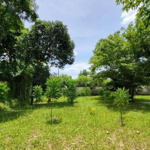 出售地皮-泰国-曼谷-1664-平方米-240-01