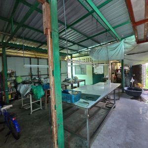 出售地皮-泰国-曼谷-1744-平方米-1474.46-01