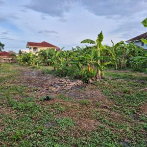 出售地皮-泰国-曼谷-1768-平方米-685.72-01