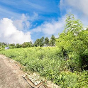 出售地皮-泰国-曼谷-1796-平方米-857.15-01