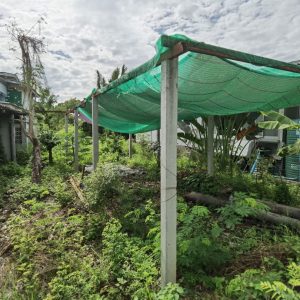 出售地皮-泰国-曼谷-1908-平方米-98.86-01