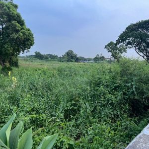 出售地皮-泰国-曼谷-192-平方米-107.15-01