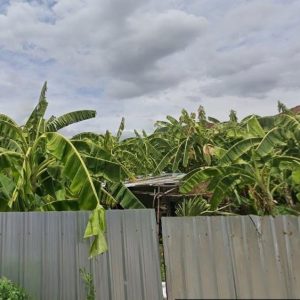 出售地皮-泰国-曼谷-2000-平方米-514.29-01