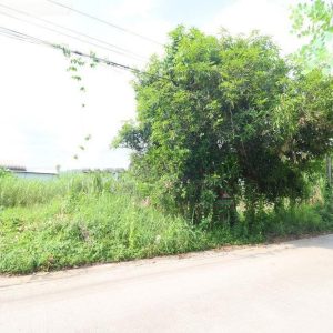 出售地皮-泰国-曼谷-208-平方米-311.55-01