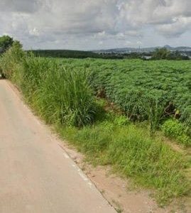 出售地皮-泰国-曼谷-210672-平方米-96.43-01