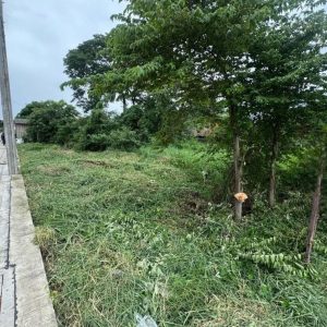 出售地皮-泰国-曼谷-2328-平方米-176.75-01