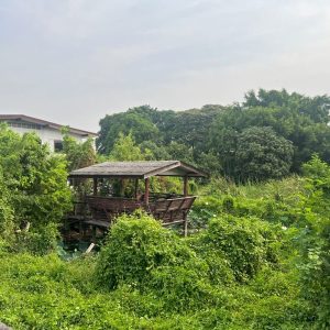 出售地皮-泰国-曼谷-2428-平方米-345.98-01