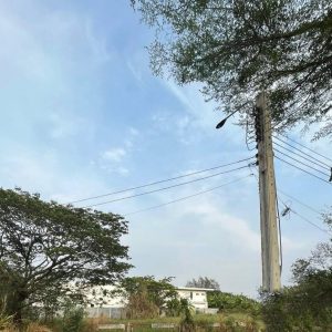 出售地皮-泰国-曼谷-2452-平方米-360-01