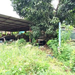 出售地皮-泰国-曼谷-260-平方米-340.23-01