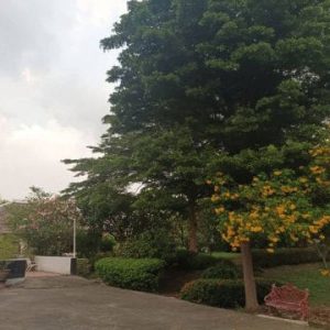 出售地皮-泰国-曼谷-2628-平方米-1030.69-01