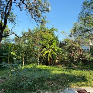 出售地皮-泰国-曼谷-264-平方米-857.15-01