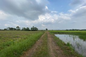 出售地皮-泰国-曼谷-27200-平方米-3.55-01