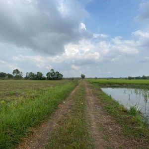 出售地皮-泰国-曼谷-27200-平方米-3.55-01