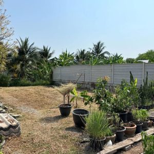 出售地皮-泰国-曼谷-280-平方米-251.03-01