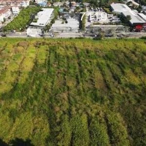 出售地皮-泰国-曼谷-28196-平方米-2142.86-01