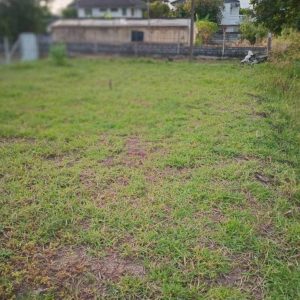 出售地皮-泰国-曼谷-300-平方米-400-01