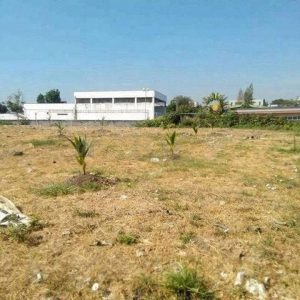 出售地皮-泰国-曼谷-30144-平方米-771.18-01