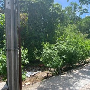 出售地皮-泰国-曼谷-30400-平方米-100.4-01