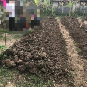 出售地皮-泰国-曼谷-312-平方米-989.03-01