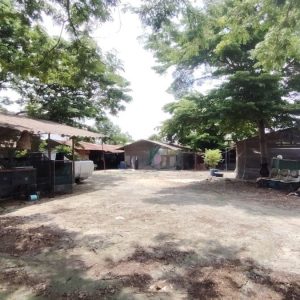 出售地皮-泰国-曼谷-3140-平方米-193-01