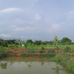 出售地皮-泰国-曼谷-3148-平方米-222.86-01