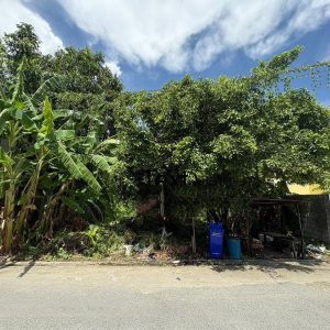 出售地皮-泰国-曼谷-320-平方米-0-01