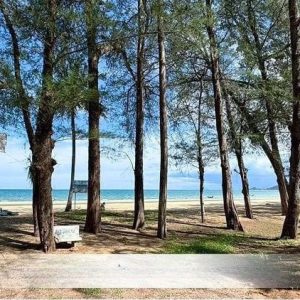 出售地皮-泰国-曼谷-320-平方米-150-01