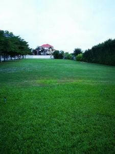 出售地皮-泰国-曼谷-3223.6-平方米-2339.92-01