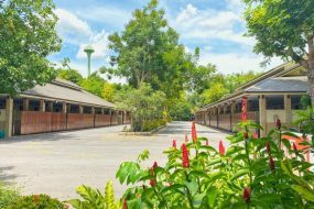 出售地皮-泰国-曼谷-33072-平方米-124.43-01