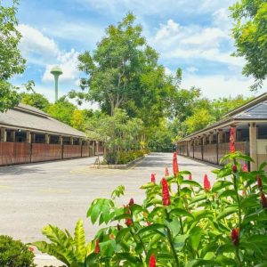 出售地皮-泰国-曼谷-33072-平方米-124.43-01