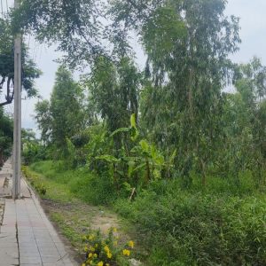 出售地皮-泰国-曼谷-34916-平方米-162.86-01