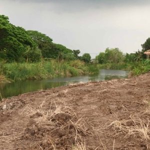 出售地皮-泰国-曼谷-3626.4-平方米-113.46-01