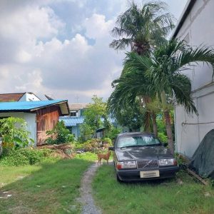 出售地皮-泰国-曼谷-3636-平方米-1037.26-01