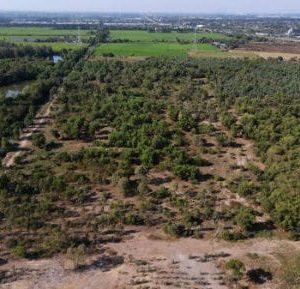 出售地皮-泰国-曼谷-363648-平方米-77.15-01