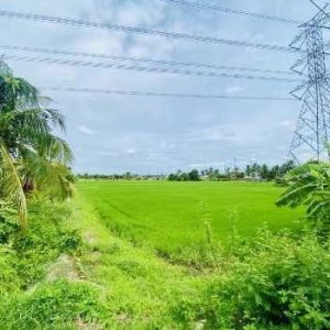 出售地皮-泰国-曼谷-36800-平方米-150-01