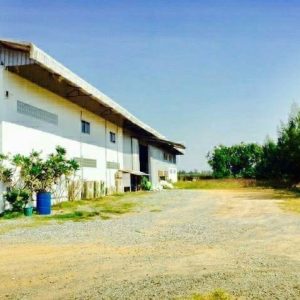 出售地皮-泰国-曼谷-36800-平方米-64.29-01