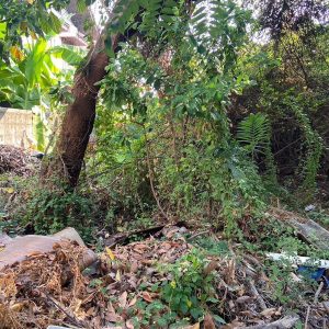 出售地皮-泰国-曼谷-376-平方米-942.86-01