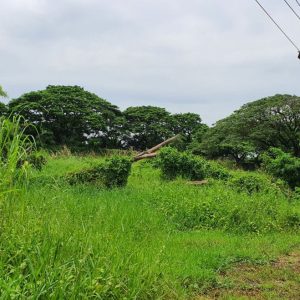 出售地皮-泰国-曼谷-3884-平方米-102.86-01