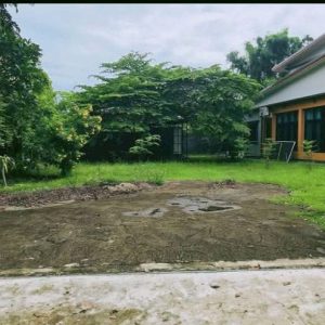 出售地皮-泰国-曼谷-392-平方米-0-01